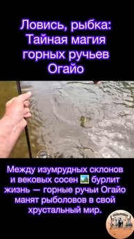 🌄 Ловись, рыбка: Тайная магия горных ручьев Огайо