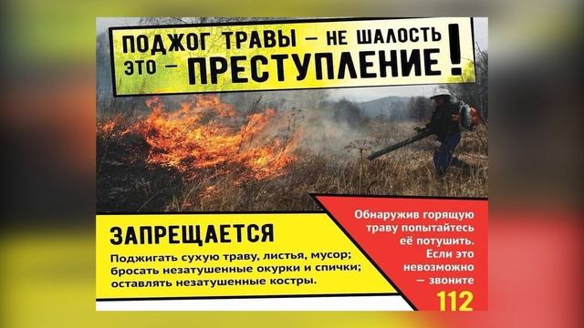 Говорилка Пал_сухой_травы-готов