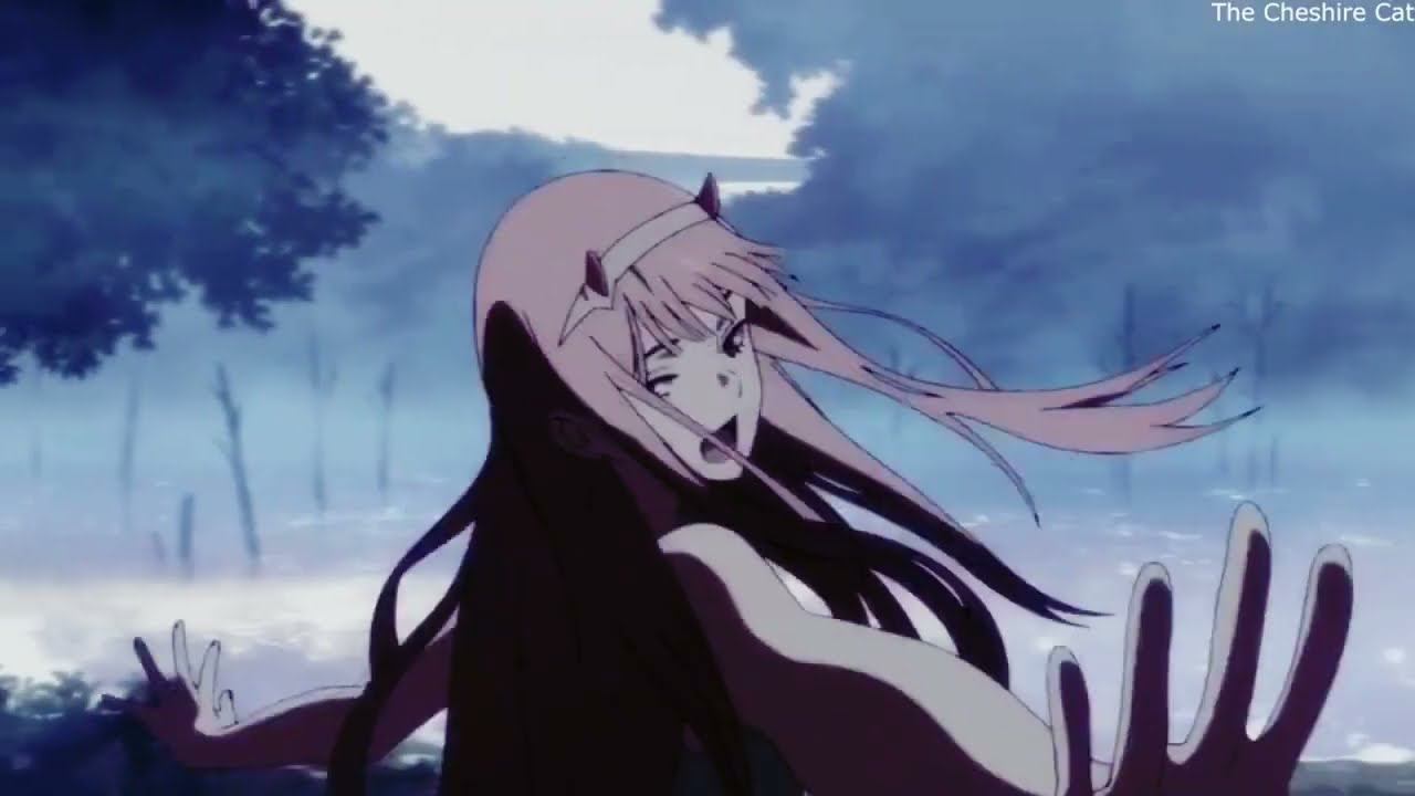 Милый во франксе【AMV】【Она моё всё】