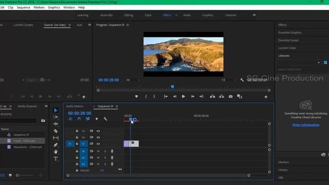 Learn Premiere Pro CC 2018 In Tamil Episode 5