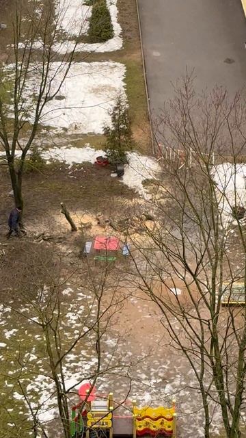 В 7 утра под звук бензопилы