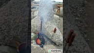 Саблезубый тигр - Ночной вомбат