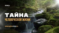 Тайна человеческой жизни. Владимир Дорофеев. Проповедь.