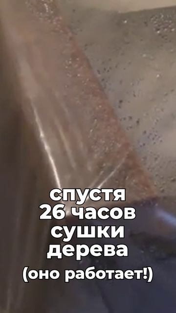 Сушка древесины у себя дома! От одной доски до 5 кубов.