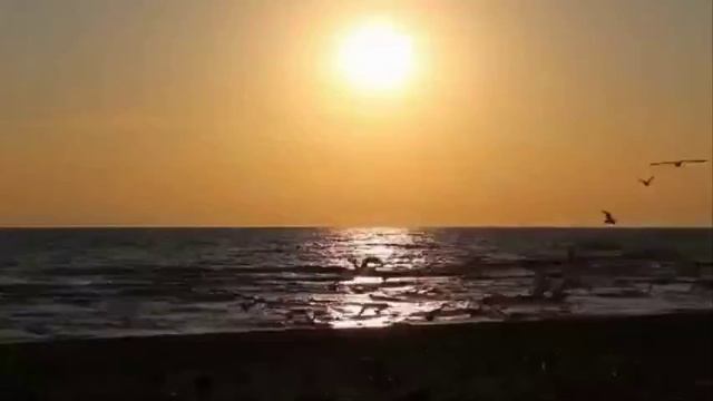 "Расскажи мне море"