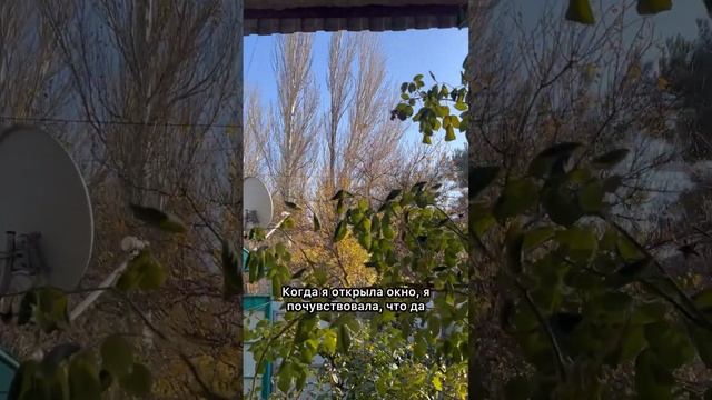 Первая зима Уральцев в Анапе. Серия 1. День 1.