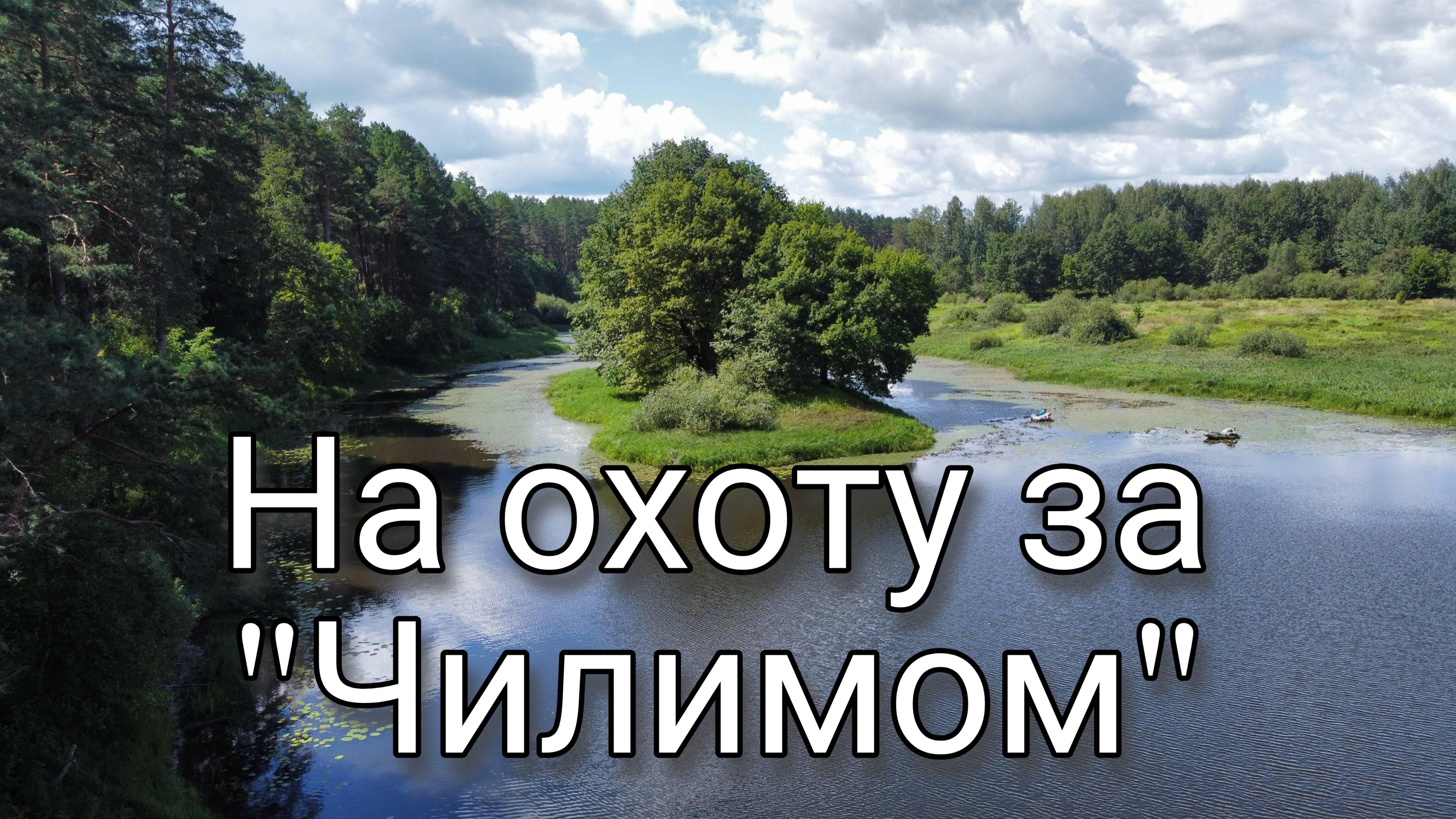 На охоту за Чилимом. Водяной орех Чилим