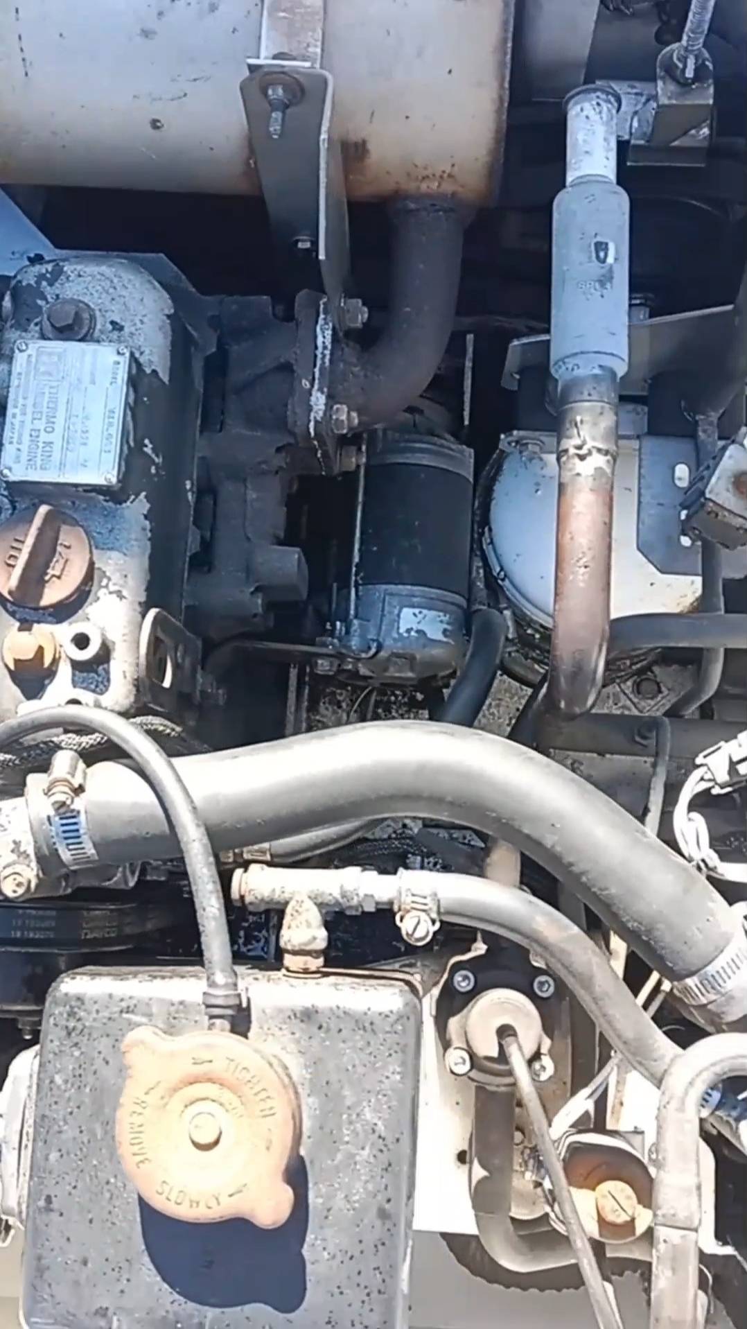 Рефрижератор Thermo King MD-2 / Промо