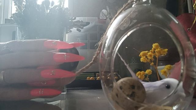 Подарок от Вселенной ☄️✨🎁Гадание. Расклад. Миа🧚♀️❤