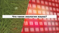 Что такое экология языка?