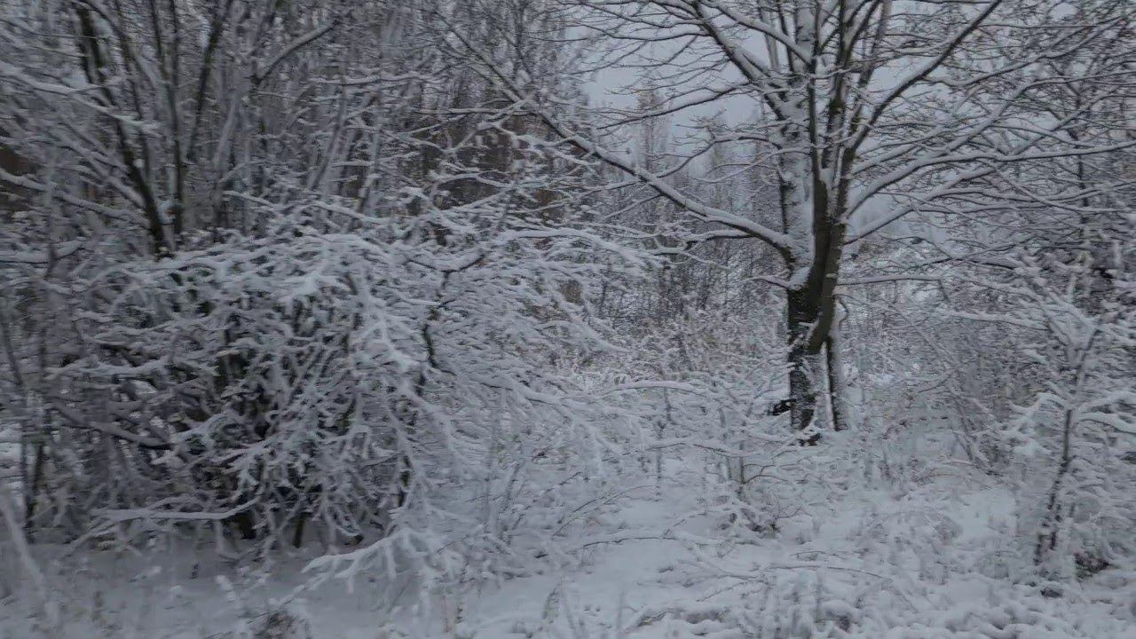 04.11.2024 06:47 понедельник. Первый снег в Панино в третий приезд своим ходом в храм.