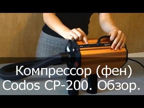 Компрессор (фен) для собак Codos CP-200. Видеообзор
