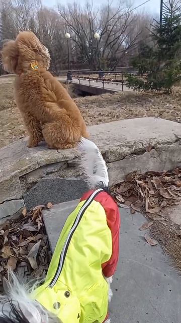 Я никогда не врУ, но это не точно 😳