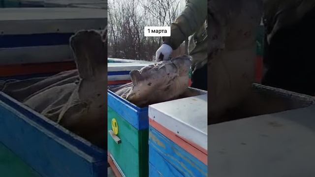 1000035137.mp4