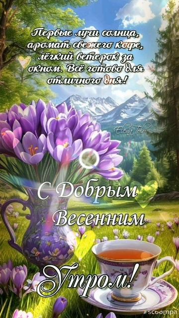 Доброе утро💖 Пусть в этот день Вам солнце ярче светит 🌝😍