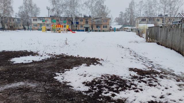 Воробушки в деревне, ищут еду из-под снега, жизнь в деревне, уютная деревенская атмосфера, природа