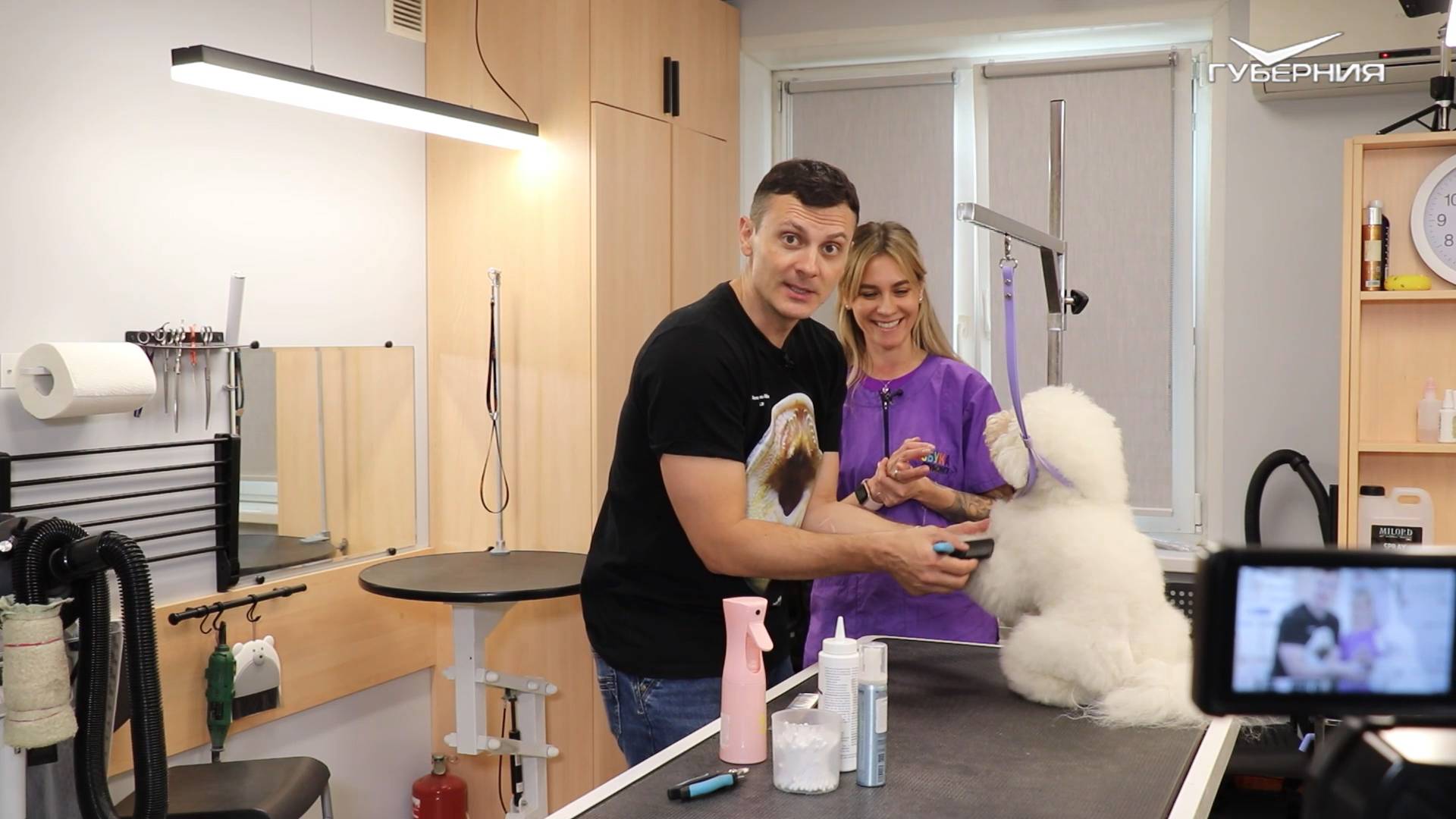 Как правильно расчёсывать собаку 🐩