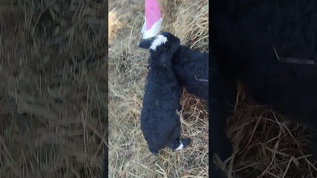 1000240715.mp4