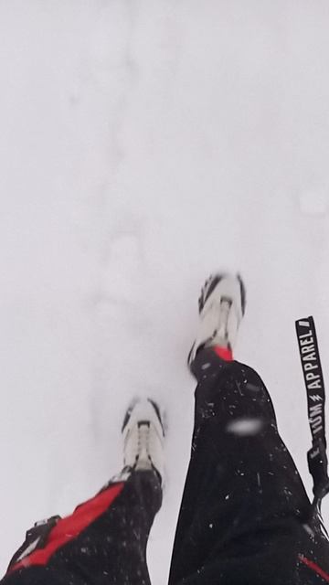 VID_20250408_184121