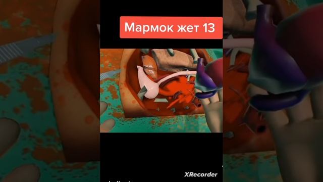 Мармок 13