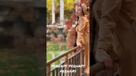 Новый кавер снят в Казахстане #кавер #perhaps #kazahkstan