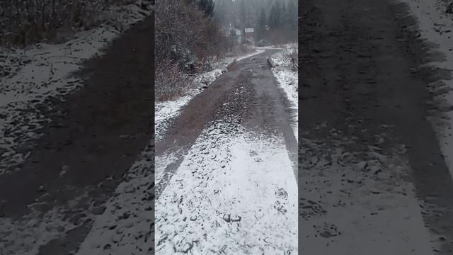 VID_20250408_091419.mp4