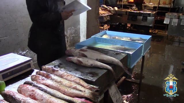 В донском регионе проводится ежегодное оперативно-профилактическое мероприятие «Путина»