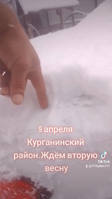 Пришла неожиданно зима.9 апреля 2025 год.