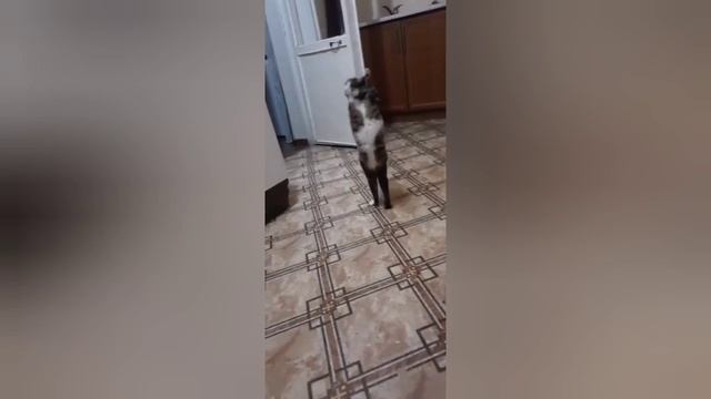 1000008039.mp4