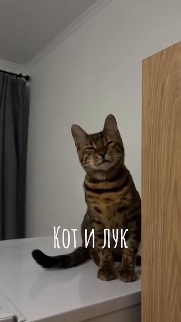 1000076217.mp4