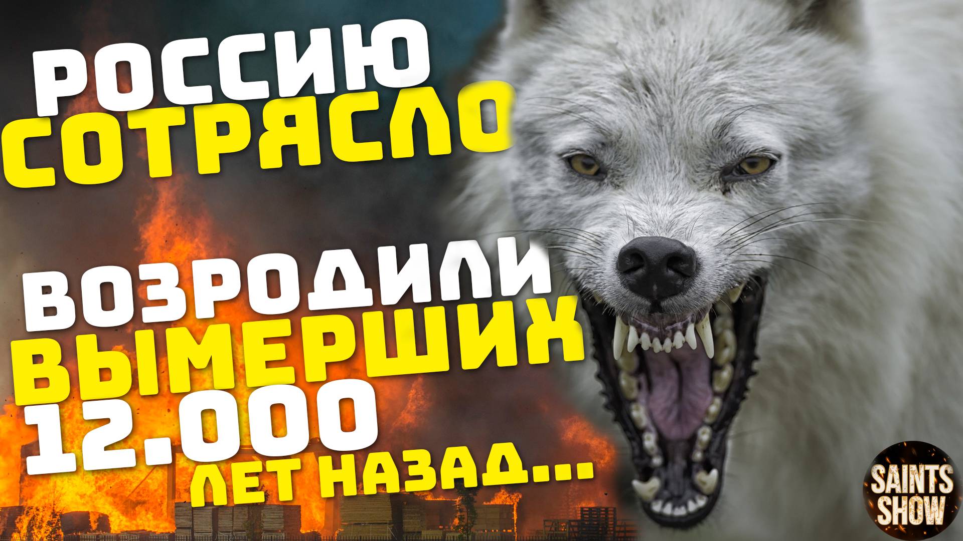 Землетрясение в России сегодня! Новости, Ужасный волк, пожар в Париже, Франция! Катаклизмы 9 апреля
