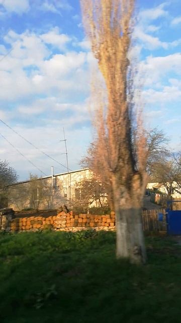 Вид из окна