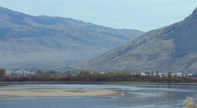 Mushroom Blading_Wizard Skating_2