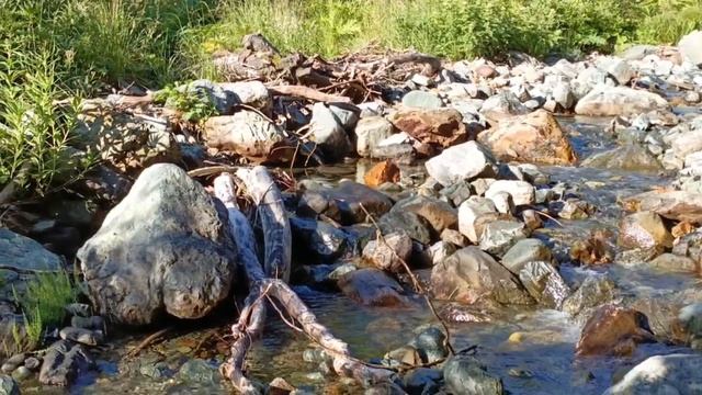 Вдоль реки Адзапш ч.1
