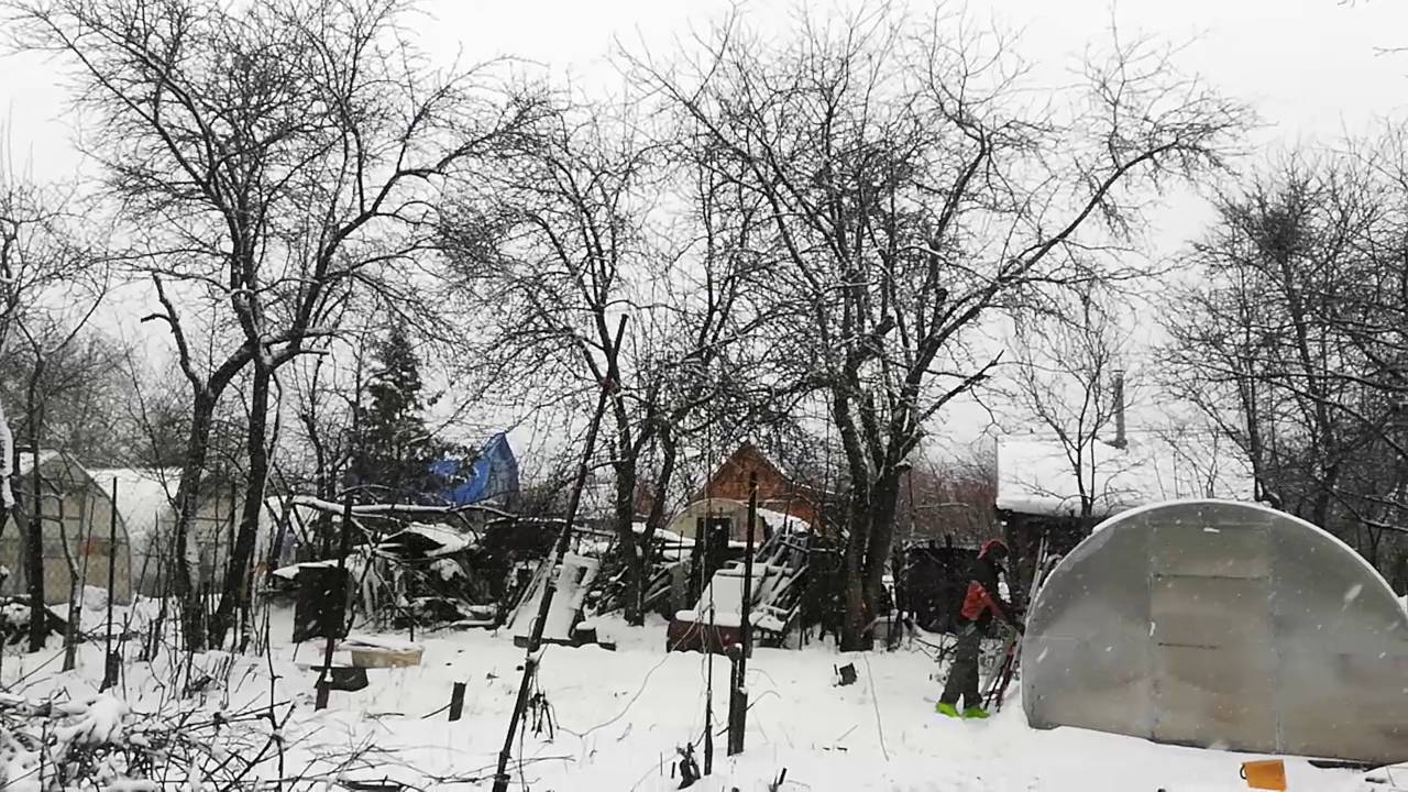Начали Восстанавливать Заброшенный Сад. Часть 1
