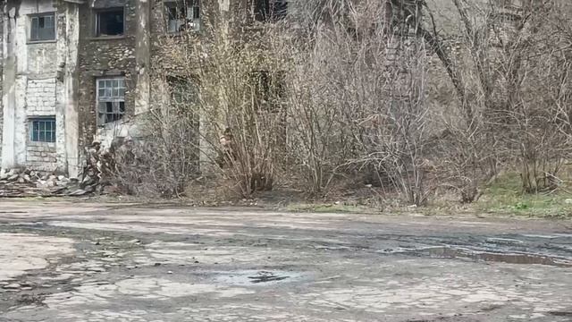 Тренировка