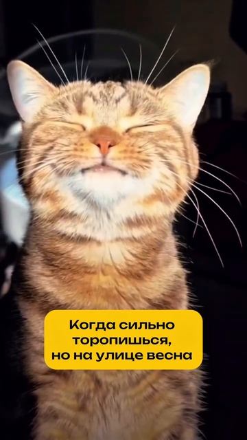 Любите весну?