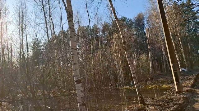 Прогулка в парке Александрино