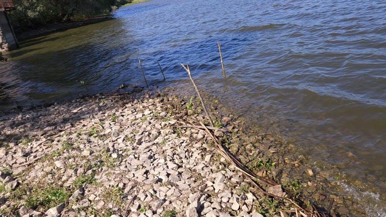 05.09.2024 13:35 четверг. В урочище Чёрная Грязь и к водам в Воскресенский рыбхоз пос. Жигулёвский.