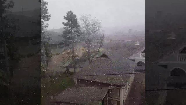 1000013037.mp4