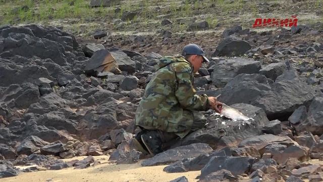 Старфишинг. Сплав по Амуру