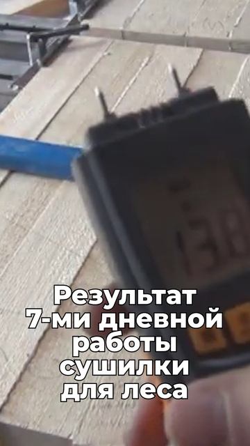 Результат 7ми дневной сушки древесины в кассетной сушилки ФлексиХИТ!