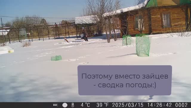 Весна 2025