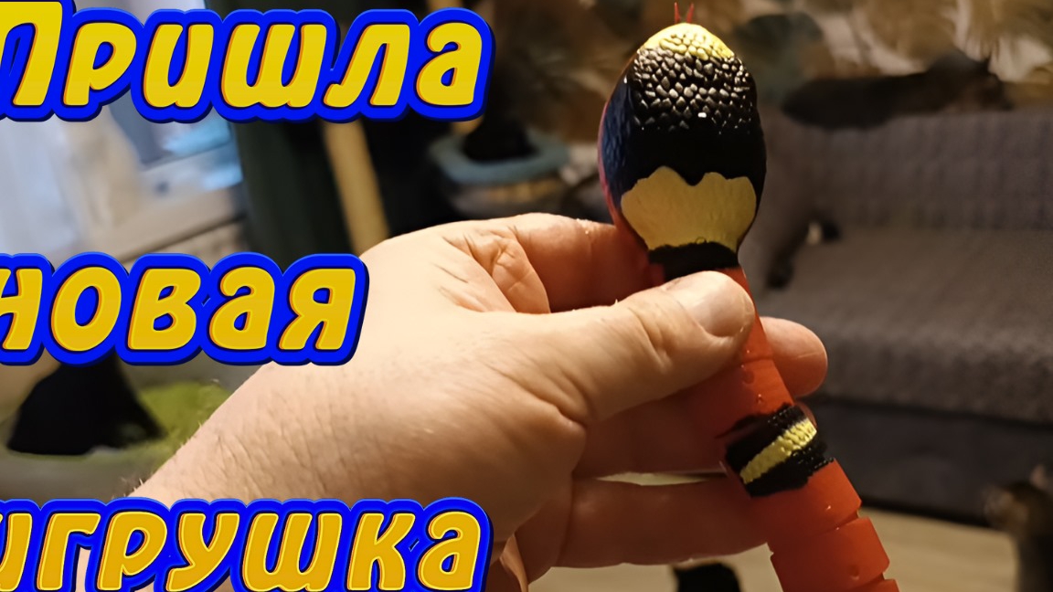Пришла новая игрушка.