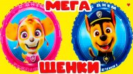 МУЛЬТИК ДЛЯ ДЕТЕЙ - ЩЕНЯЧИЙ ПАТРУЛЬ СПАСАЕТ МИР - МУЛЬТФИЛЬМЫ ДЛЯ МАЛЫШЕЙ