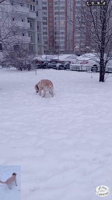 Скоро лето