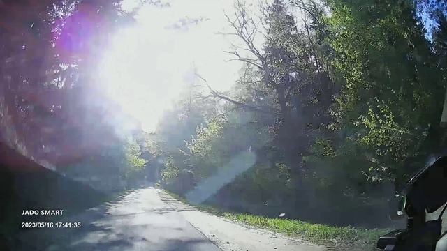 День сверх одарённых водил