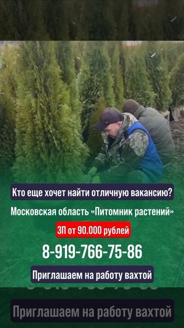 Кто еще ищет достойный заработок?