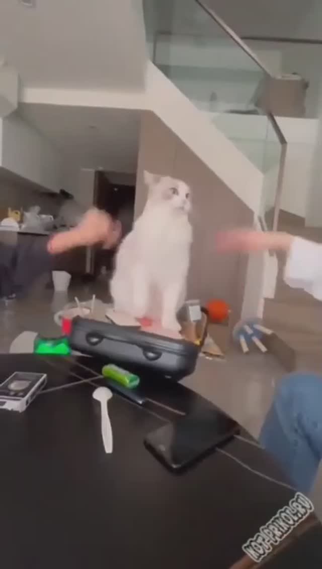 ааааааааааааа напомось