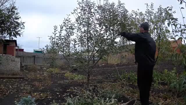 ЖИВЕМ В ДЕРЕВНЕ!!ПРИШЛА ПОСЫЛКА!!БАНКНОТЫ ИЗ ОБОРОТА!!КОРЧУЕМ ВИШНИ И ВИНОГРАД!ХУТОРСКИЕ НОВОСТИ!!